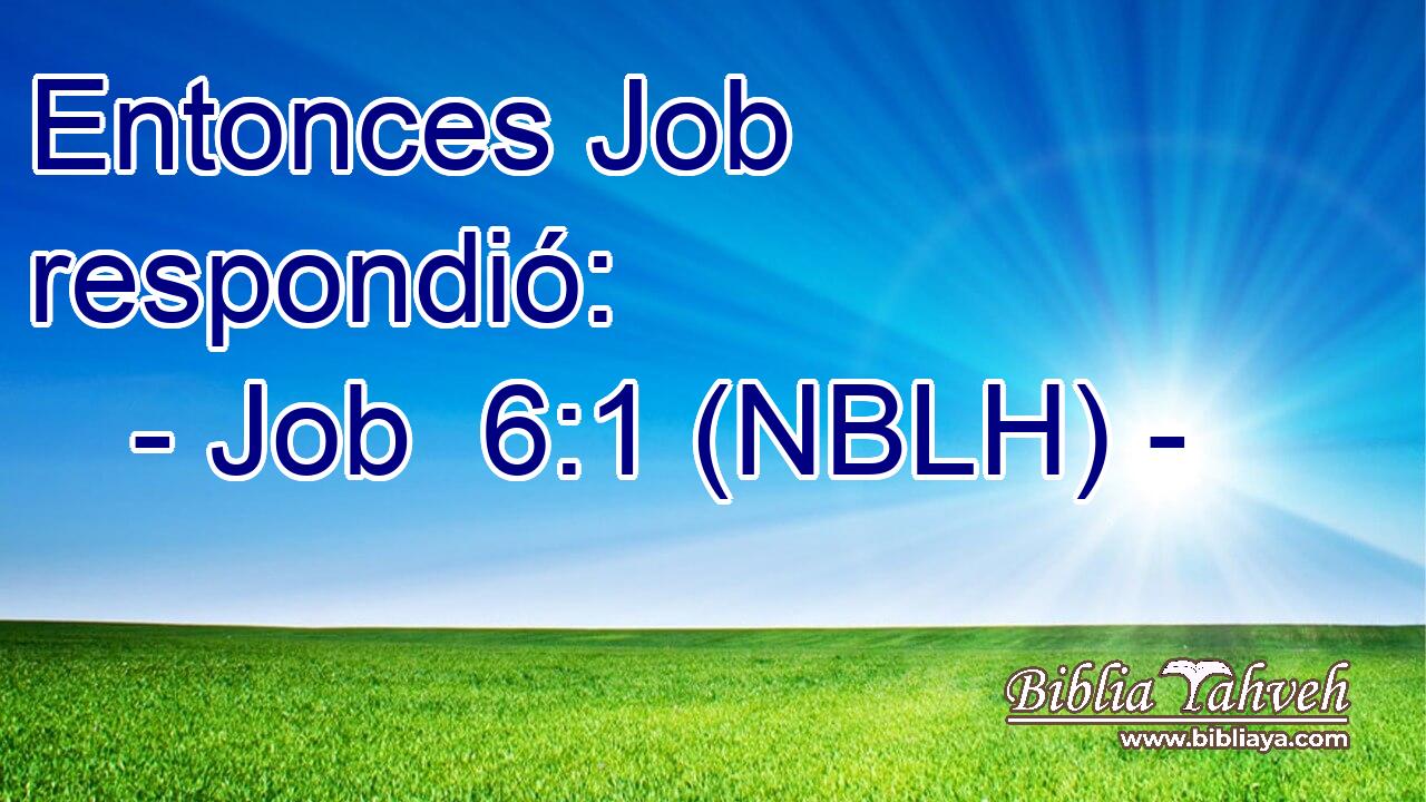  Entonces Job respondió: 