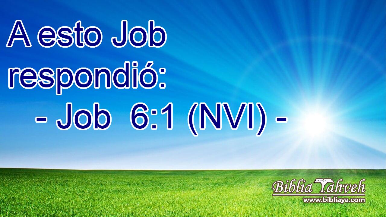  A esto Job respondió: 