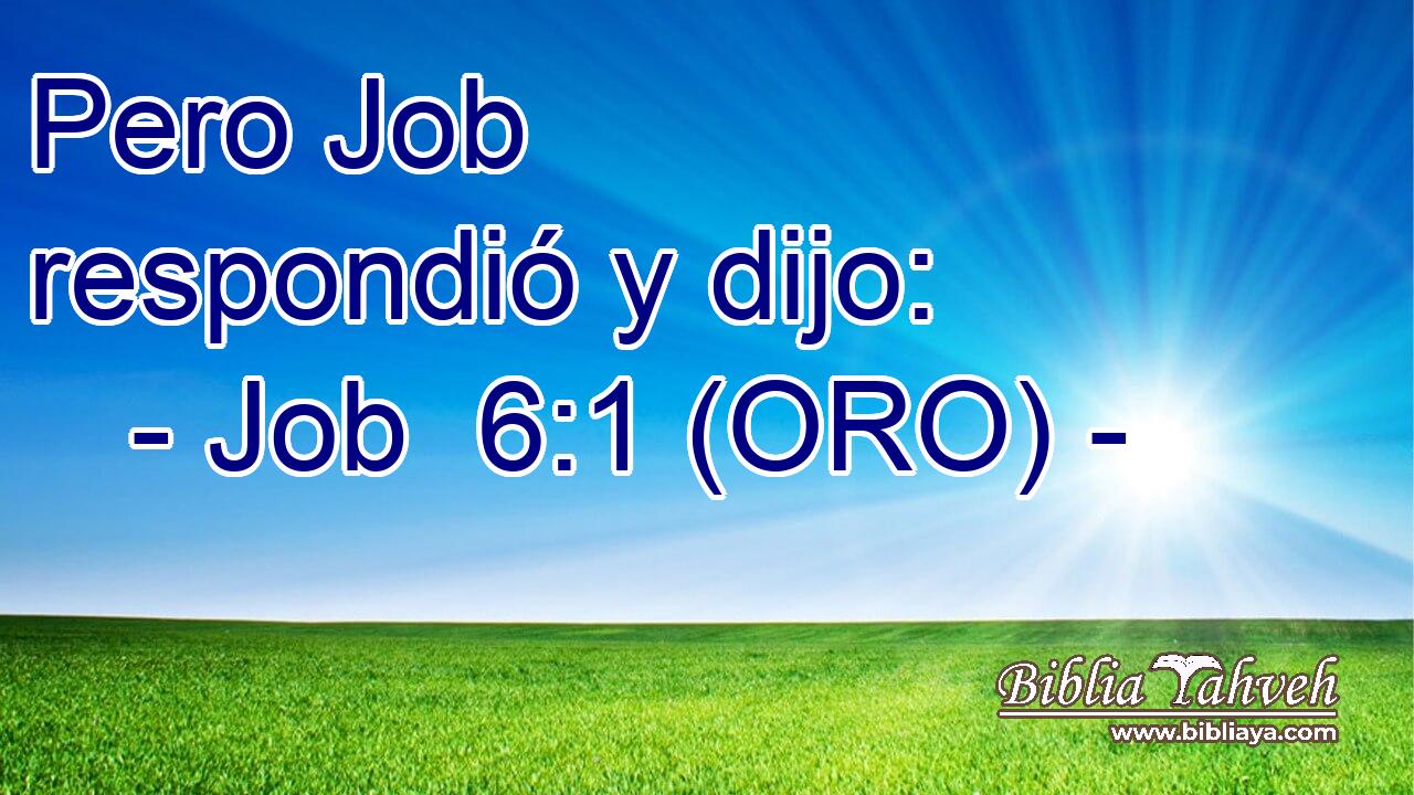  Pero Job respondió y dijo: 