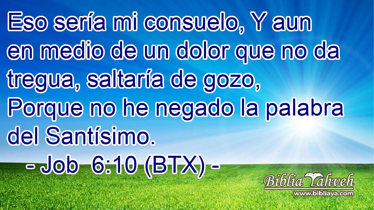 Eso sería mi consuelo, Y aun en medio de un dolor que no da tregua, saltaría de gozo, Porque no he negado la palabra del Santísimo.