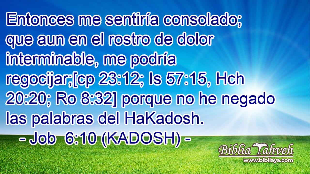  Entonces me sentiría consolado; que aun en el rostro de dolor interminable, me podría regocijar;[cp 23:12; Is 57:15, Hch 20:20; Ro 8:32] porque no he negado las palabras del HaKadosh. 