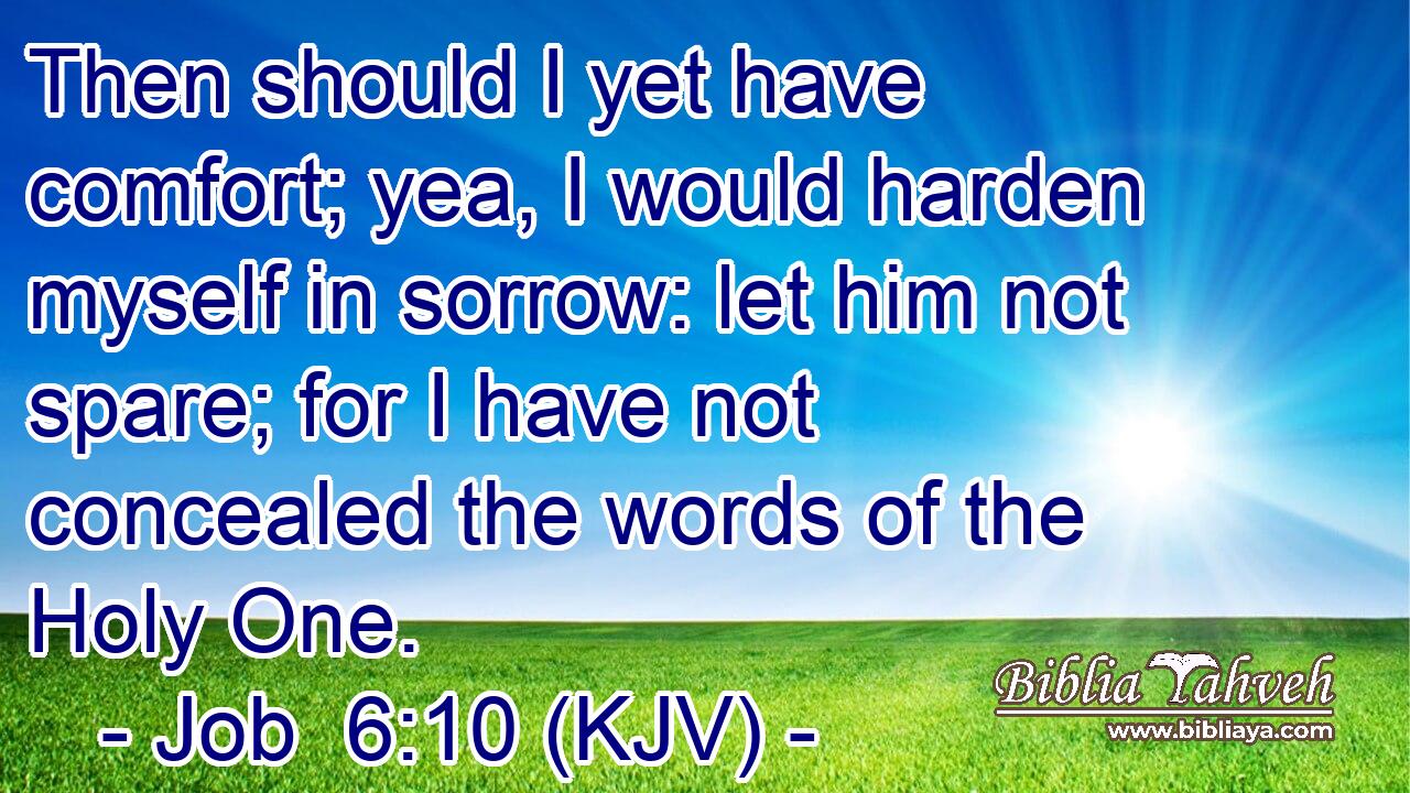 Then should I yet have comfort; yea, I would harden myself in sorrow: let him not spare; for I have not concealed the words of the Holy One.