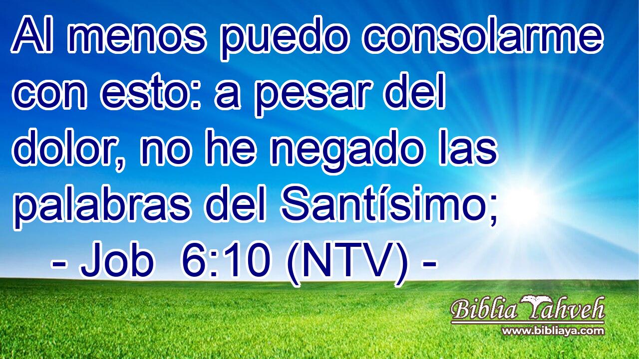 Al menos puedo consolarme con esto: a pesar del dolor, no he negado las palabras del Santísimo;