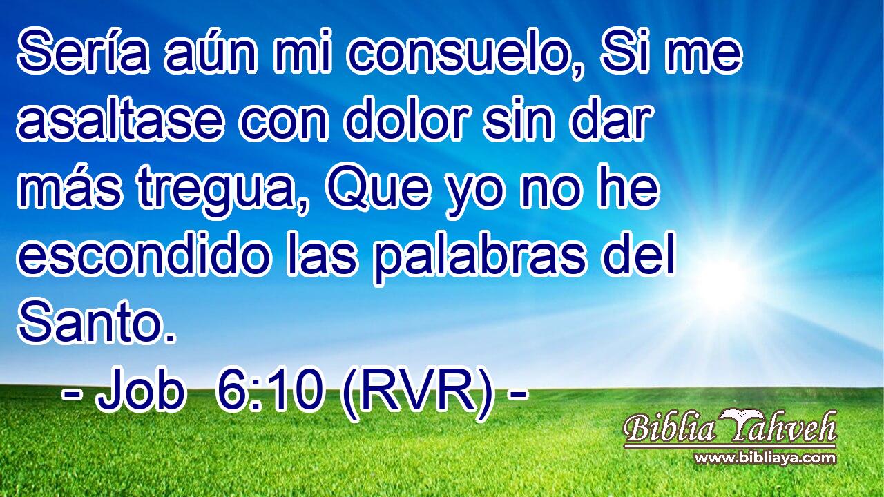 Sería aún mi consuelo, Si me asaltase con dolor sin dar más tregua, Que yo no he escondido las palabras del Santo.