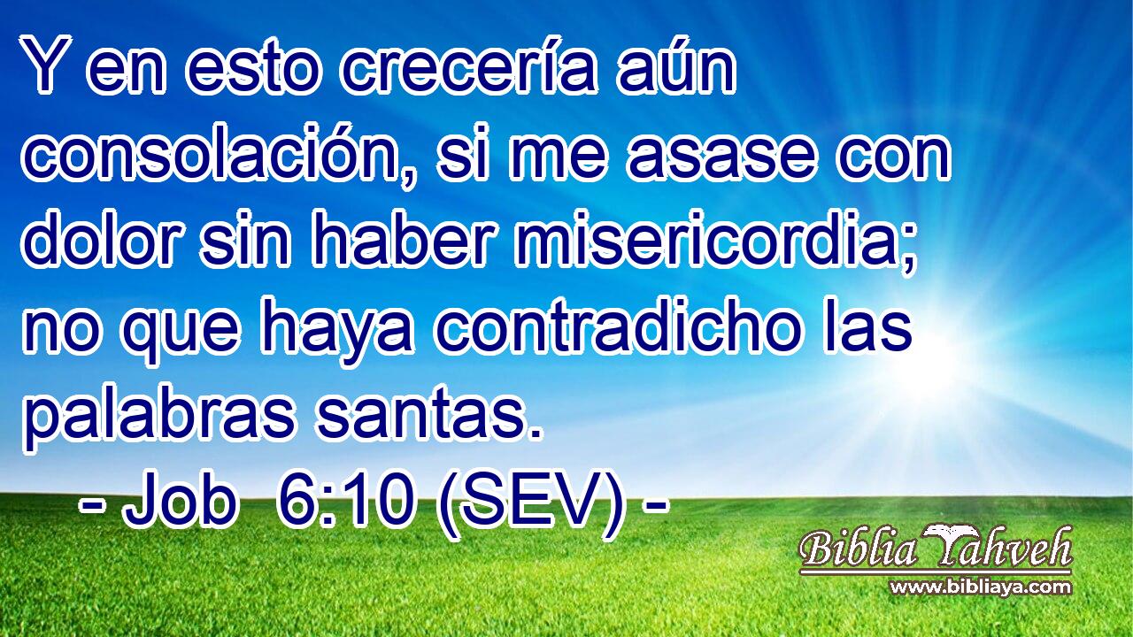 Y en esto crecería aún consolación, si me asase con dolor sin haber misericordia; no que haya contradicho las palabras santas.