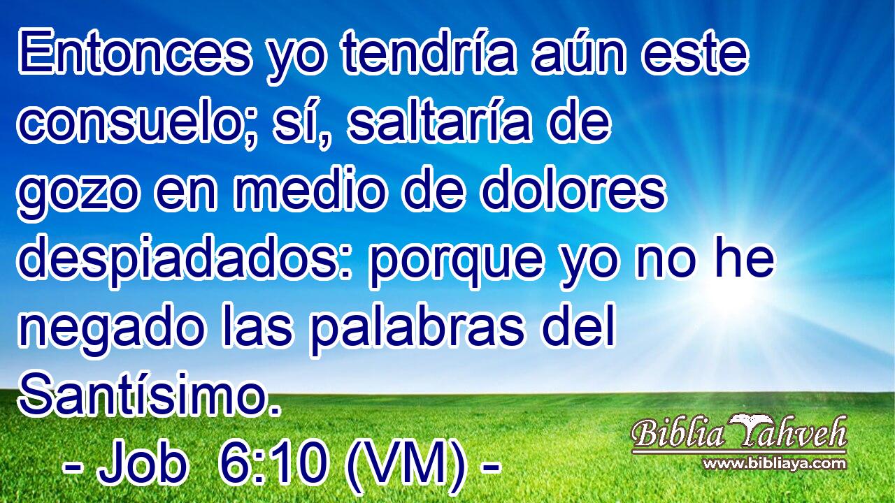  Entonces yo tendría aún este consuelo; sí, saltaría de gozo en medio de dolores despiadados: porque yo no he negado las palabras del Santísimo. 