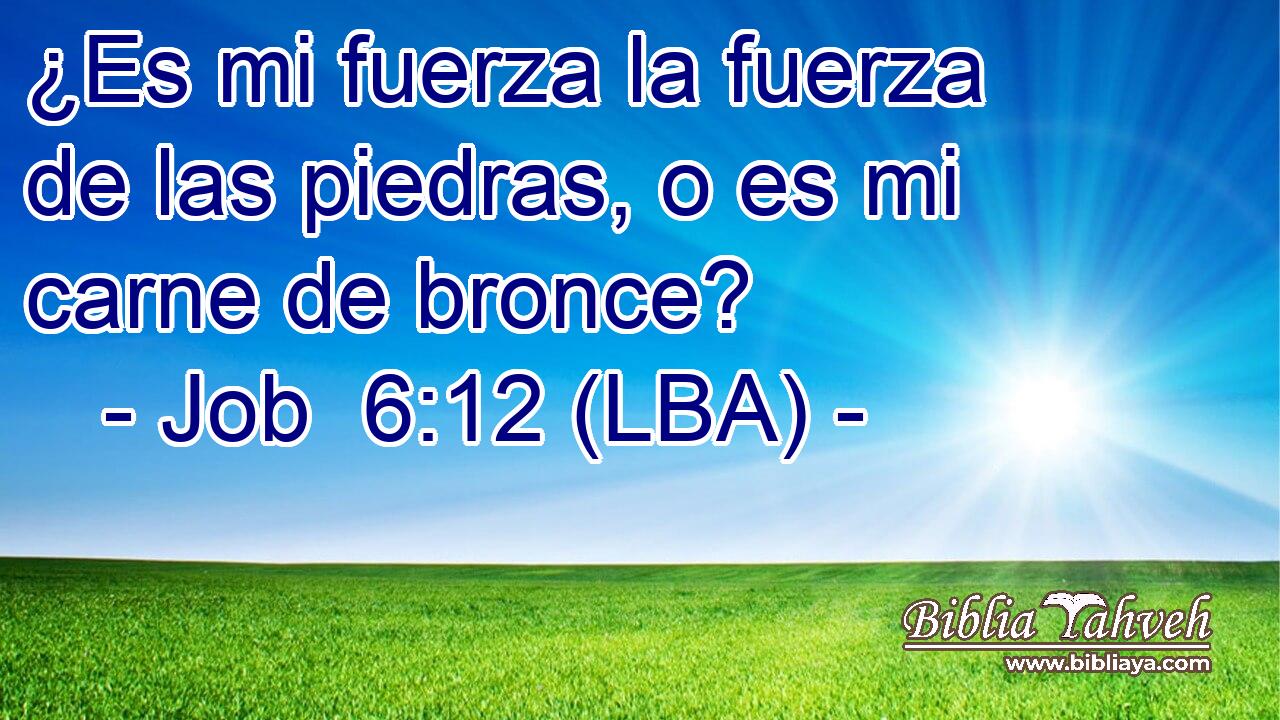 ¿Es mi fuerza la fuerza de las piedras, o es mi carne de bronce?