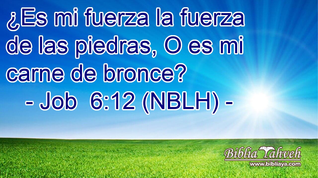  ¿Es mi fuerza la fuerza de las piedras, O es mi carne de bronce? 