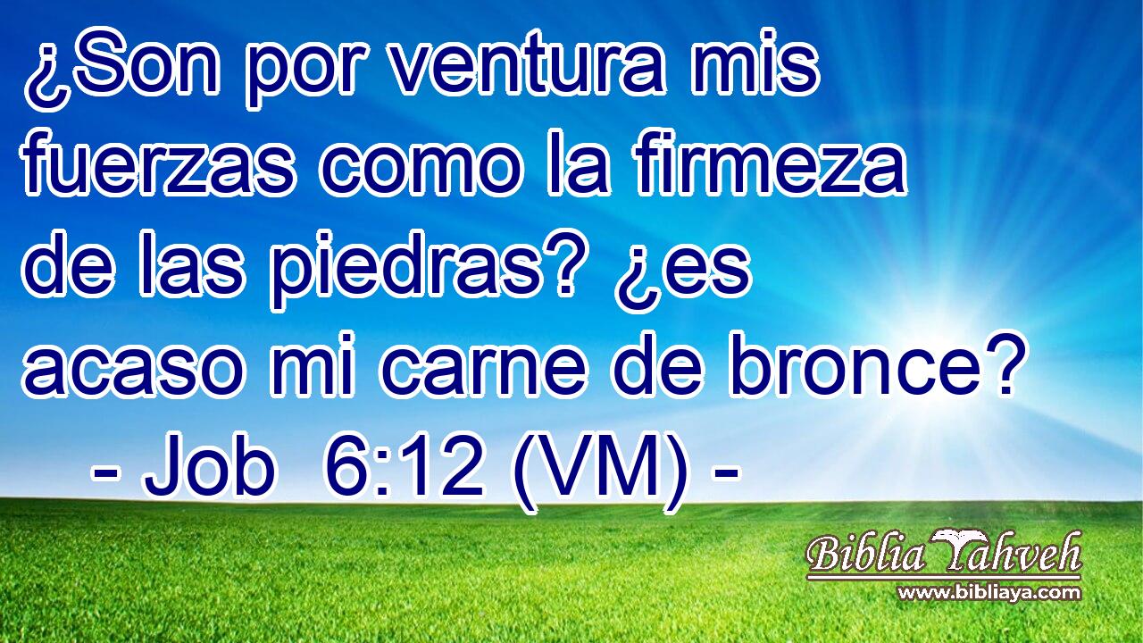  ¿Son por ventura mis fuerzas como la firmeza de las piedras? ¿es acaso mi carne de bronce? 