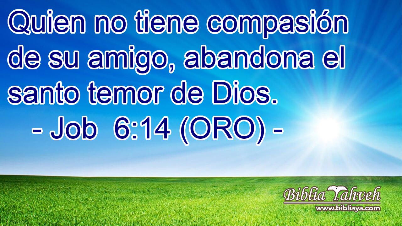  Quien no tiene compasión de su amigo, abandona el santo temor de Dios. 