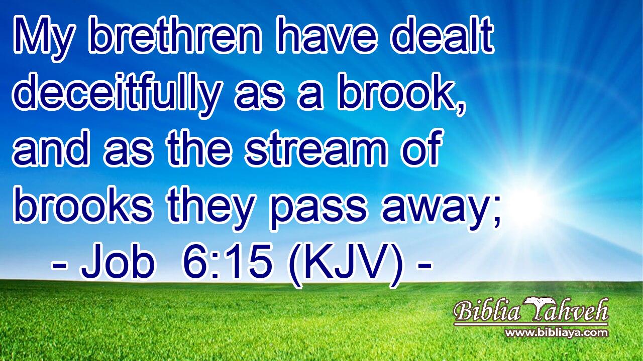 My brethren have dealt deceitfully as a brook, and as the stream of brooks they pass away;