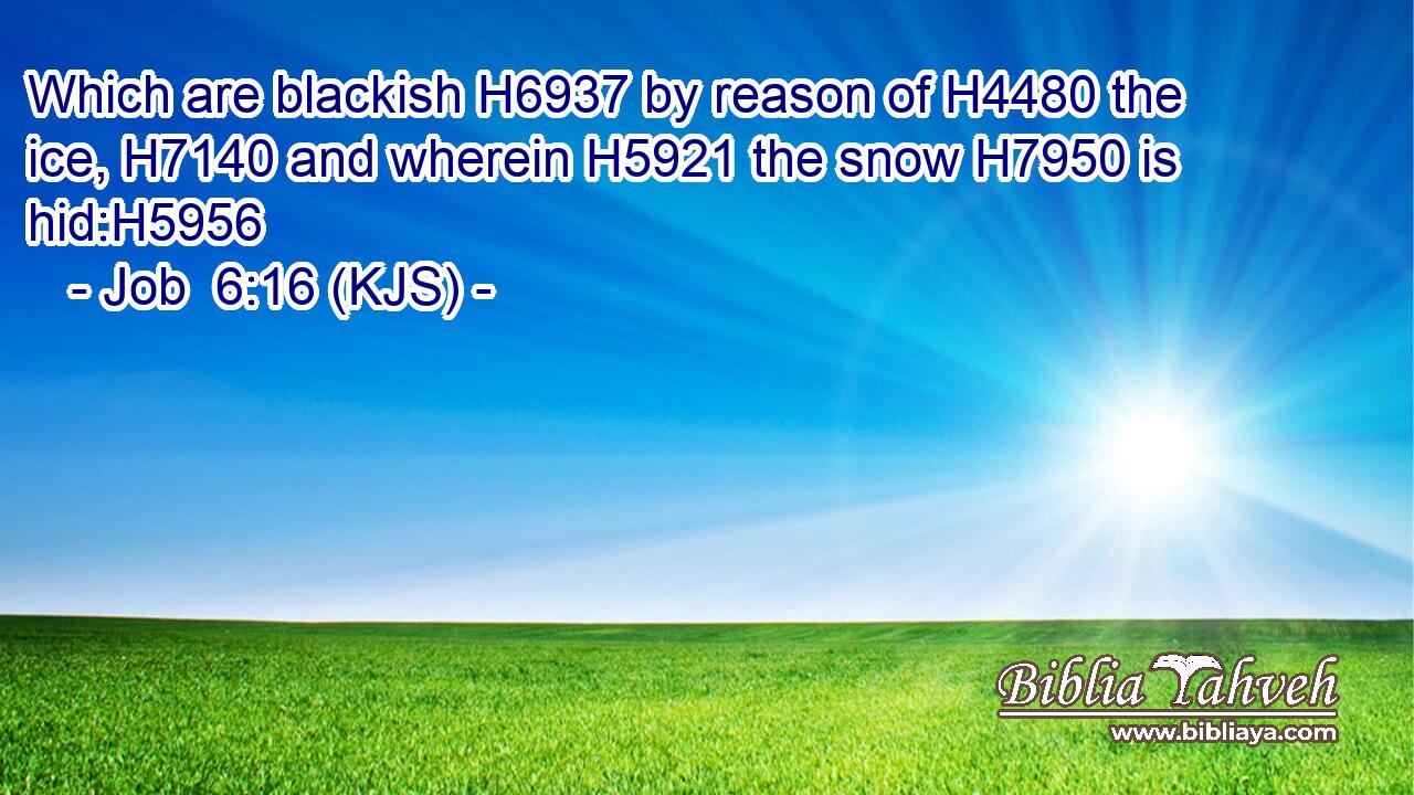 Which are blackish H6937 by reason of H4480 the ice, H7140 and wherein H5921 the snow H7950 is hid:H5956