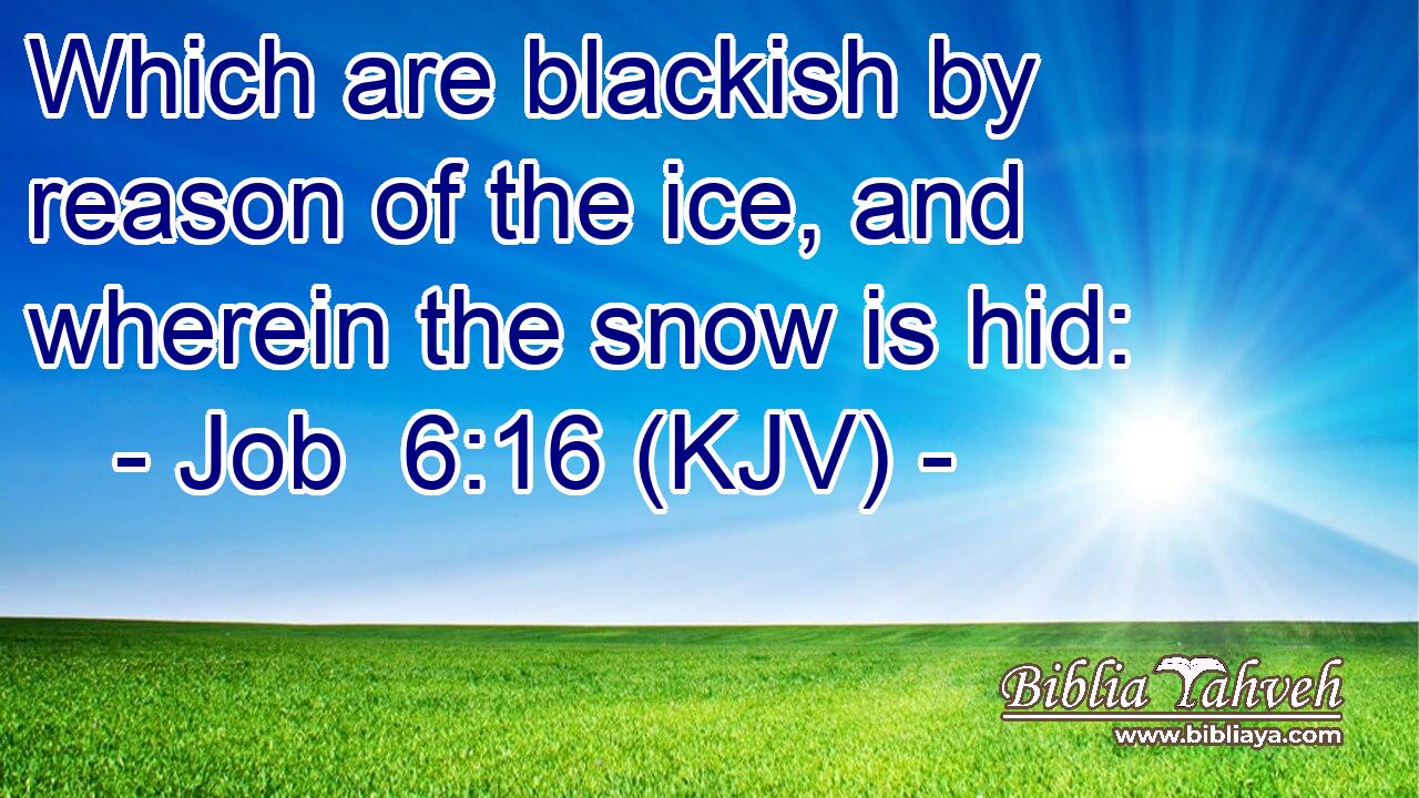 Which are blackish by reason of the ice, and wherein the snow is hid: