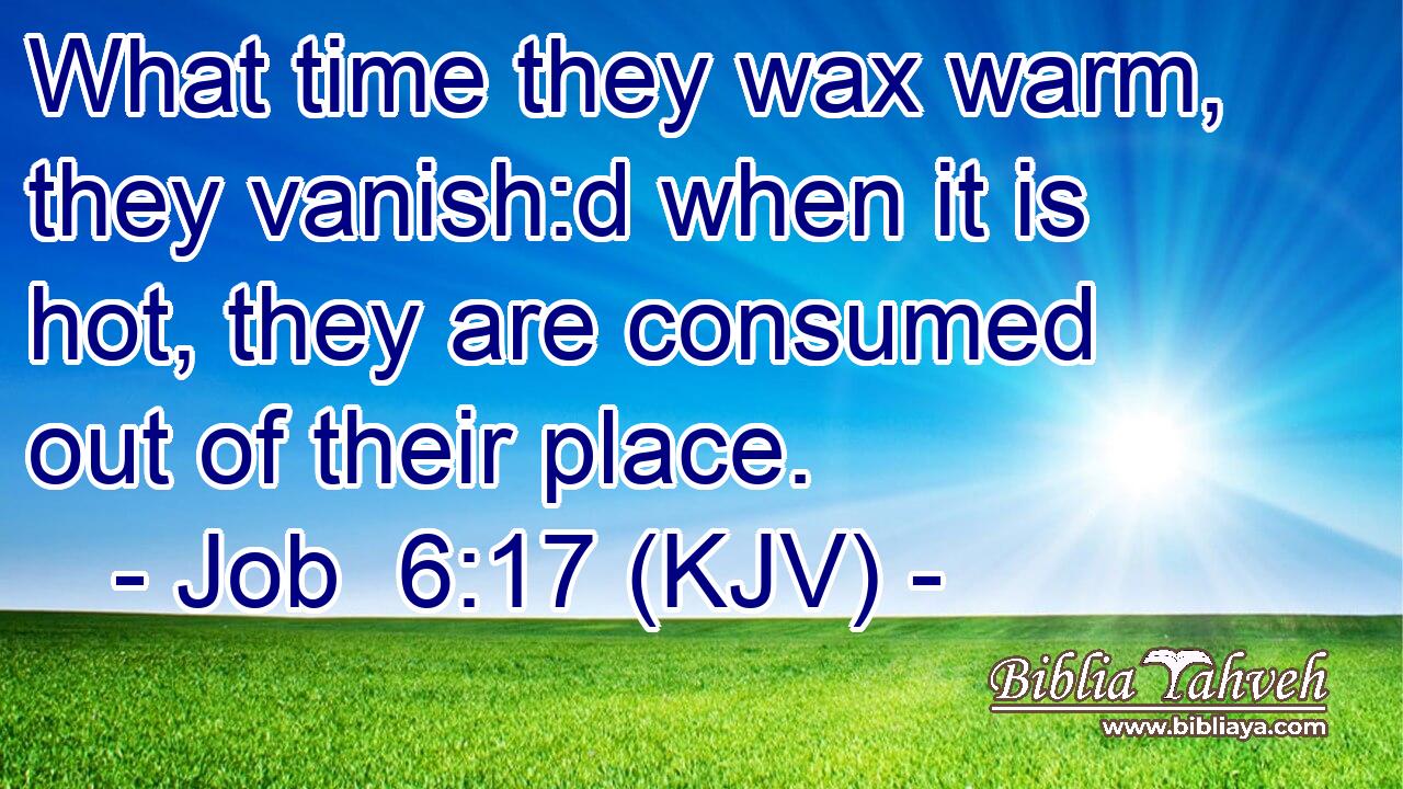 What time they wax warm, they vanish:d when it is hot, they are consumed out of their place.