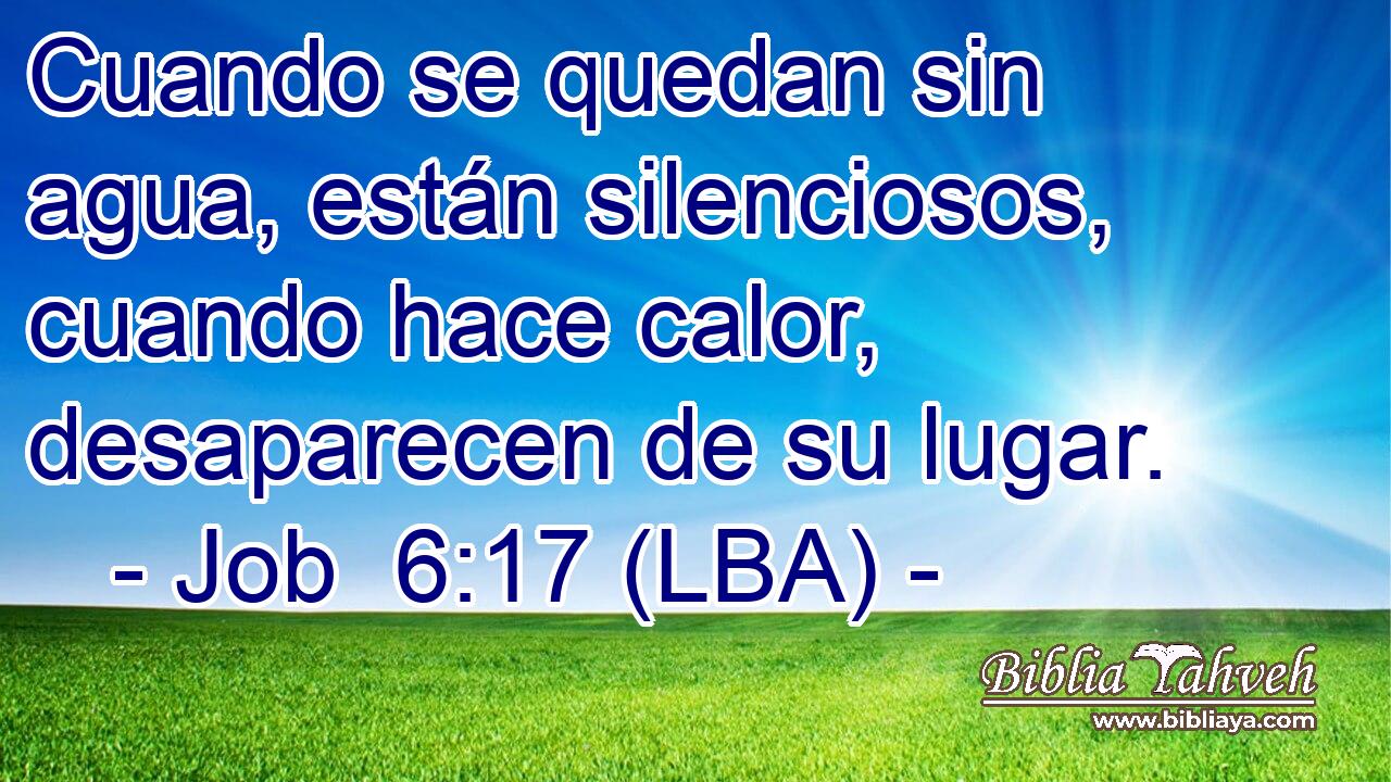 Cuando se quedan sin agua, están silenciosos, cuando hace calor, desaparecen de su lugar.