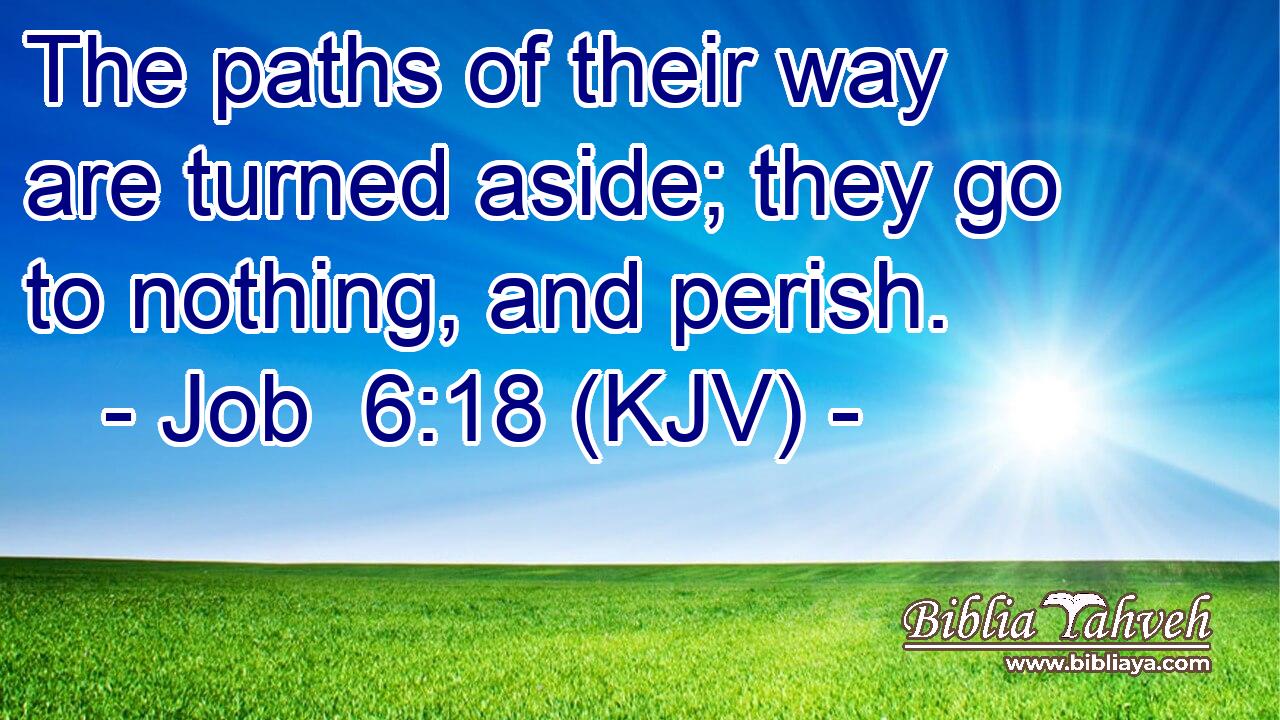 The paths of their way are turned aside; they go to nothing, and perish.