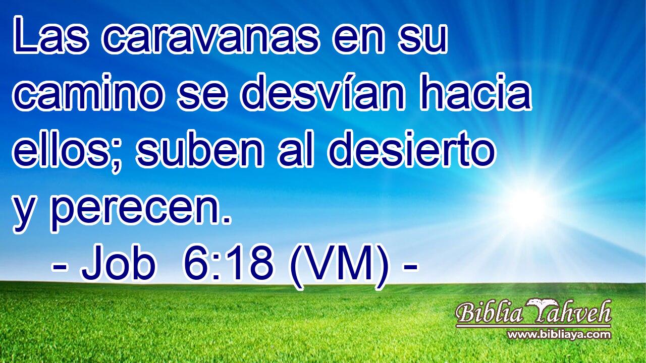  Las caravanas en su camino se desvían hacia ellos; suben al desierto y perecen. 