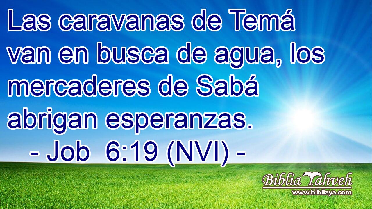  Las caravanas de Temá van en busca de agua, los mercaderes de Sabá abrigan esperanzas. 