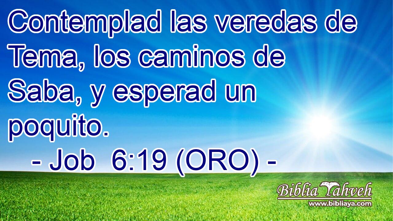  Contemplad las veredas de Tema, los caminos de Saba, y esperad un poquito. 