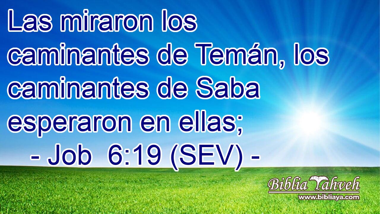Las miraron los caminantes de Temán, los caminantes de Saba esperaron en ellas;