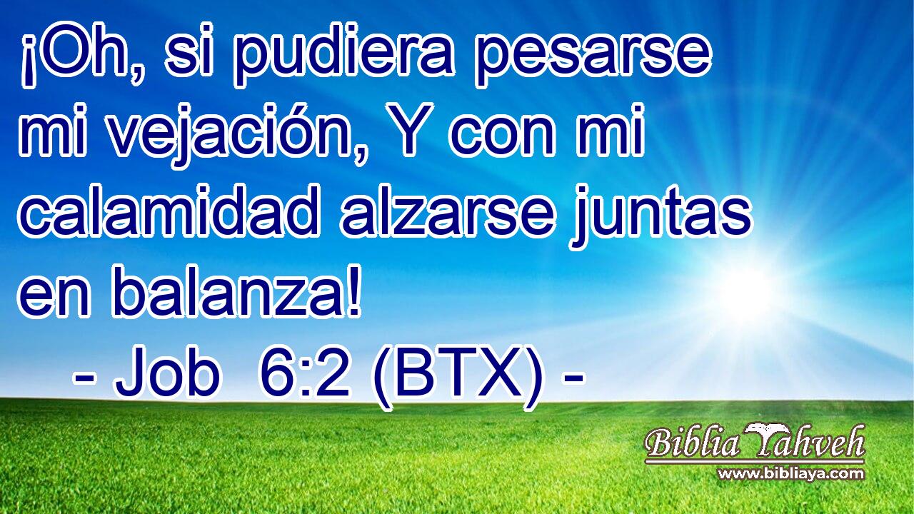 ¡Oh, si pudiera pesarse mi vejación, Y con mi calamidad alzarse juntas en balanza!