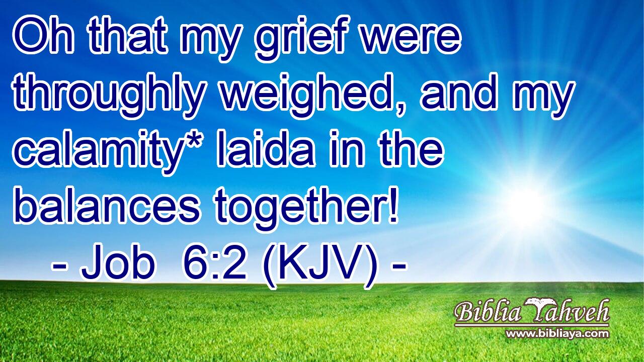 Oh that my grief were throughly weighed, and my calamity* laida in the balances together!