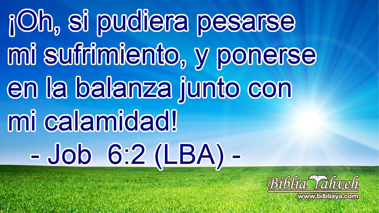 ¡Oh, si pudiera pesarse mi sufrimiento, y ponerse en la balanza junto con mi calamidad!