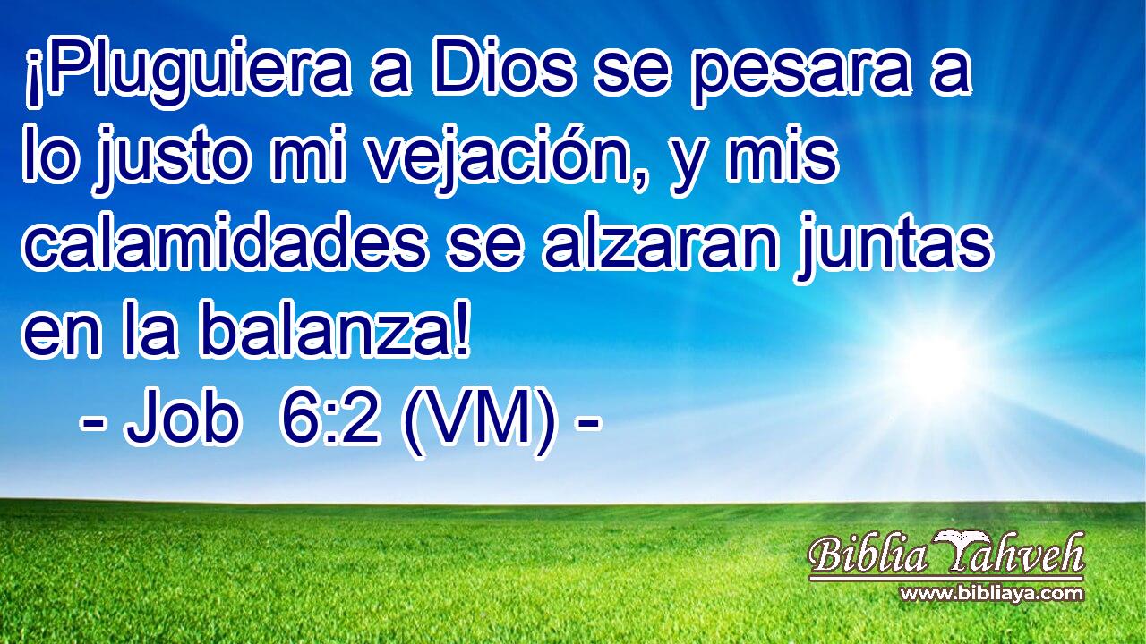  ¡Pluguiera a Dios se pesara a lo justo mi vejación, y mis calamidades se alzaran juntas en la balanza! 