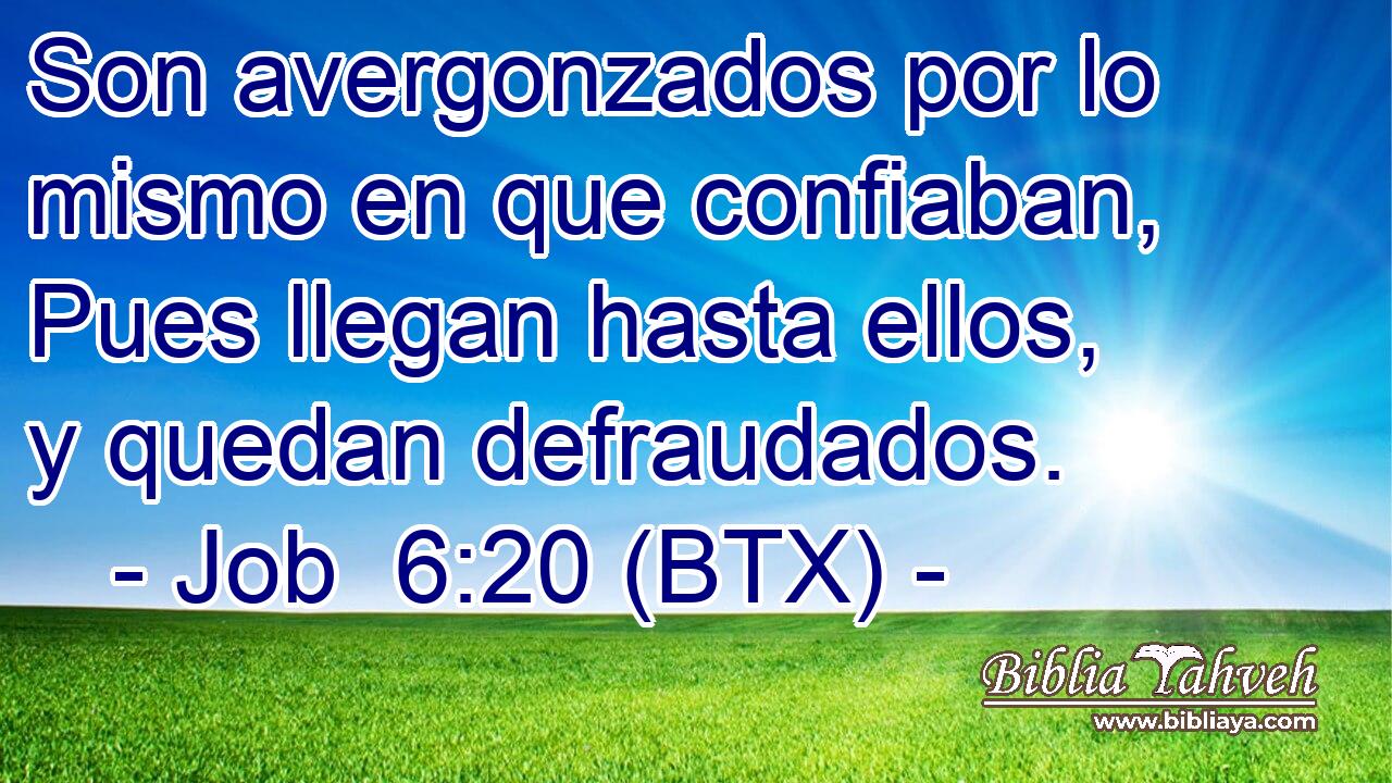 Son avergonzados por lo mismo en que confiaban, Pues llegan hasta ellos, y quedan defraudados.