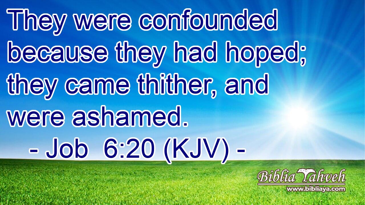 They were confounded because they had hoped; they came thither, and were ashamed.