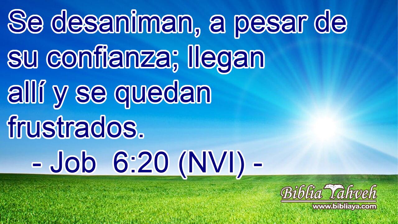  Se desaniman, a pesar de su confianza; llegan allí y se quedan frustrados. 