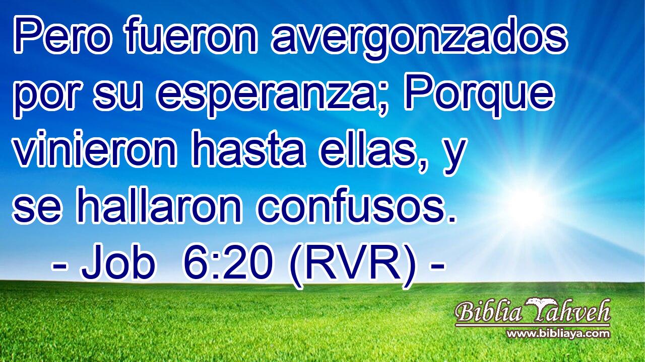Pero fueron avergonzados por su esperanza; Porque vinieron hasta ellas, y se hallaron confusos.