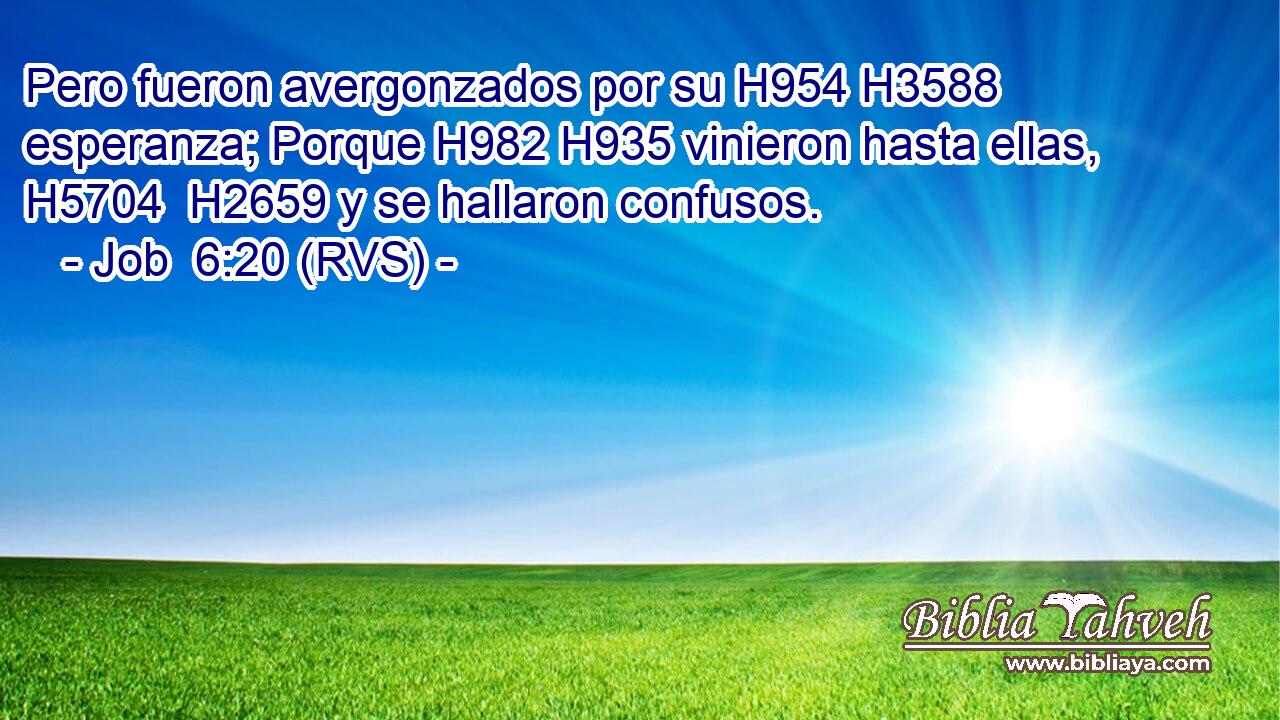 Pero fueron avergonzados por su H954 H3588 esperanza; Porque H982 H935 vinieron hasta ellas, H5704  H2659 y se hallaron confusos. 