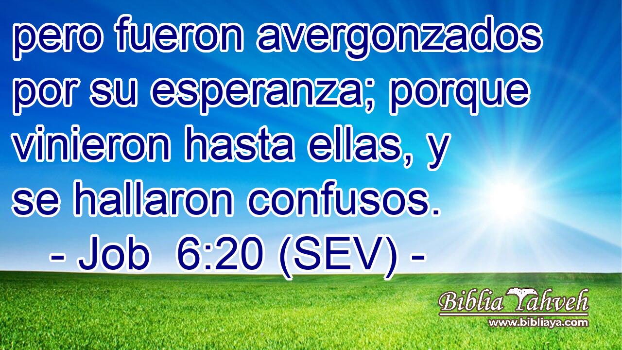 pero fueron avergonzados por su esperanza; porque vinieron hasta ellas, y se hallaron confusos.