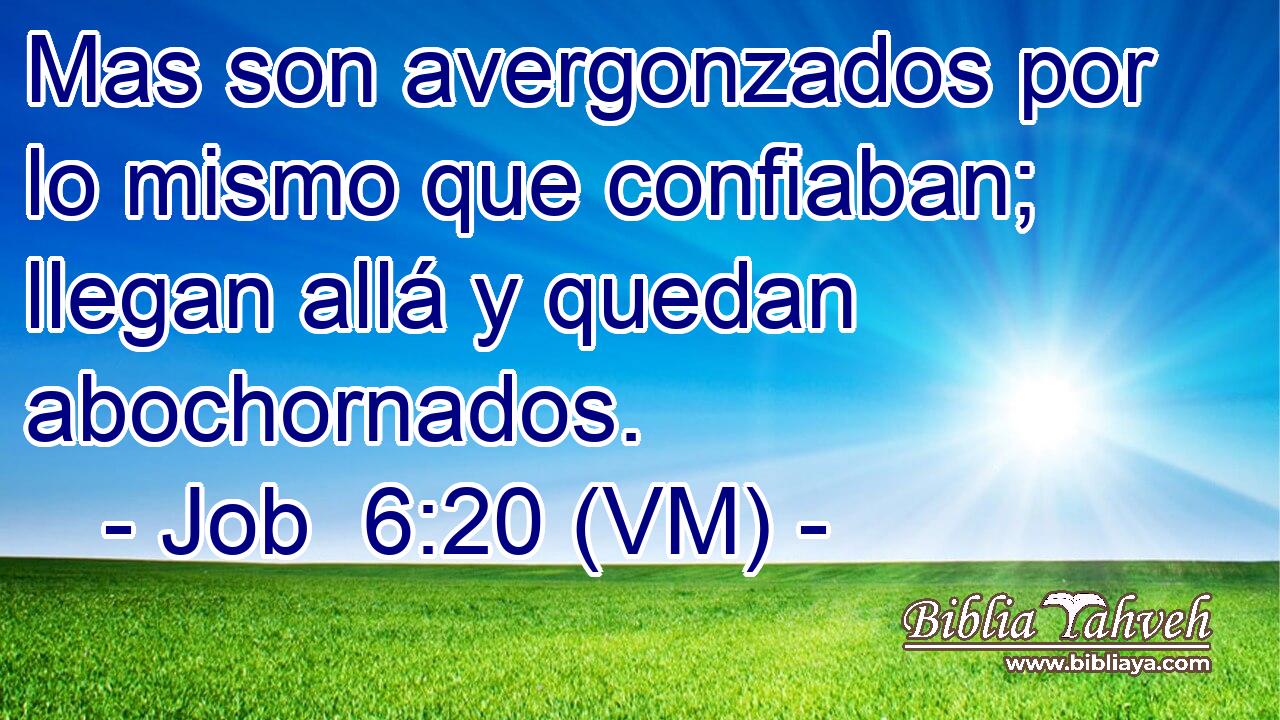  Mas son avergonzados por lo mismo que confiaban; llegan allá y quedan abochornados. 