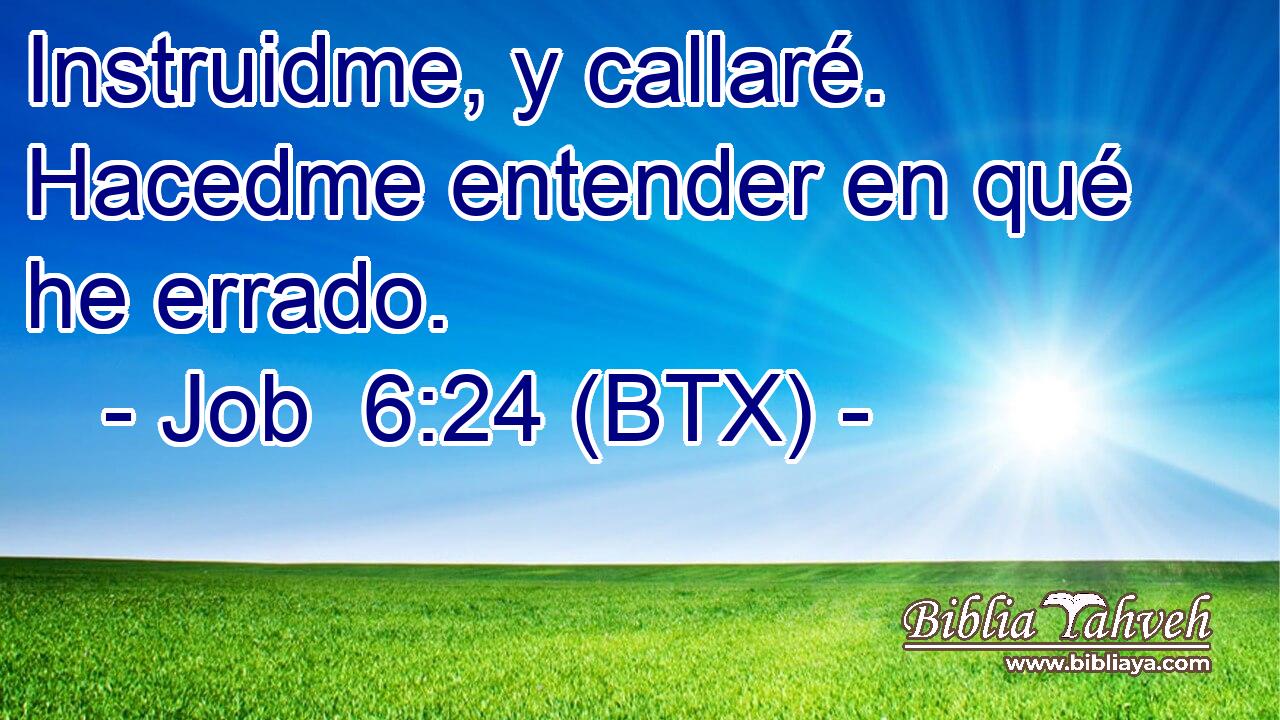 Instruidme, y callaré. Hacedme entender en qué he errado.