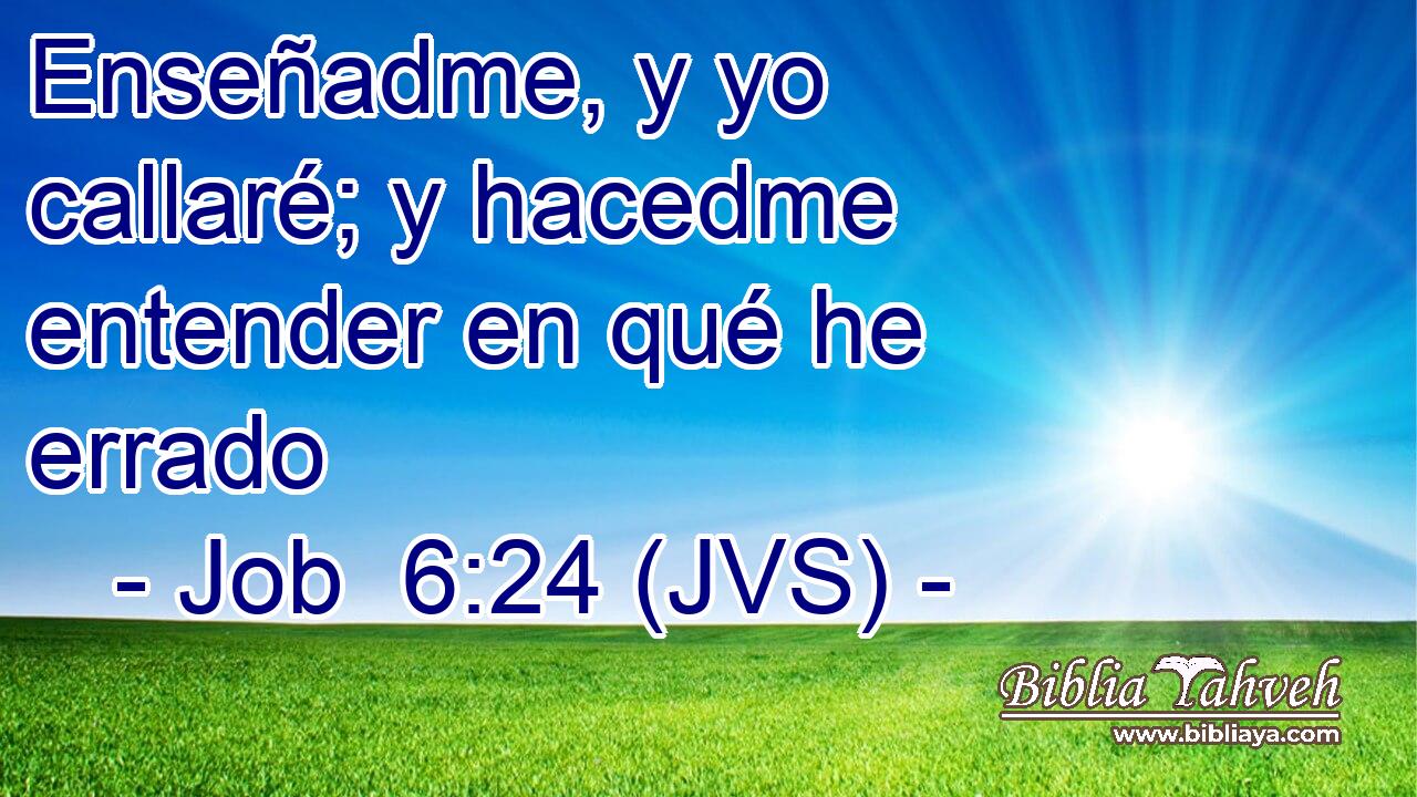 Enseñadme, y yo callaré; y hacedme entender en qué he errado