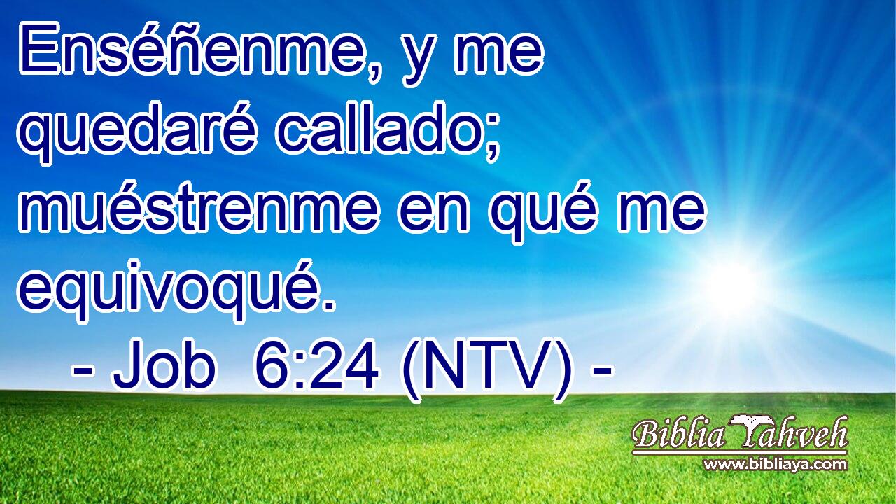 Enséñenme, y me quedaré callado; muéstrenme en qué me equivoqué.