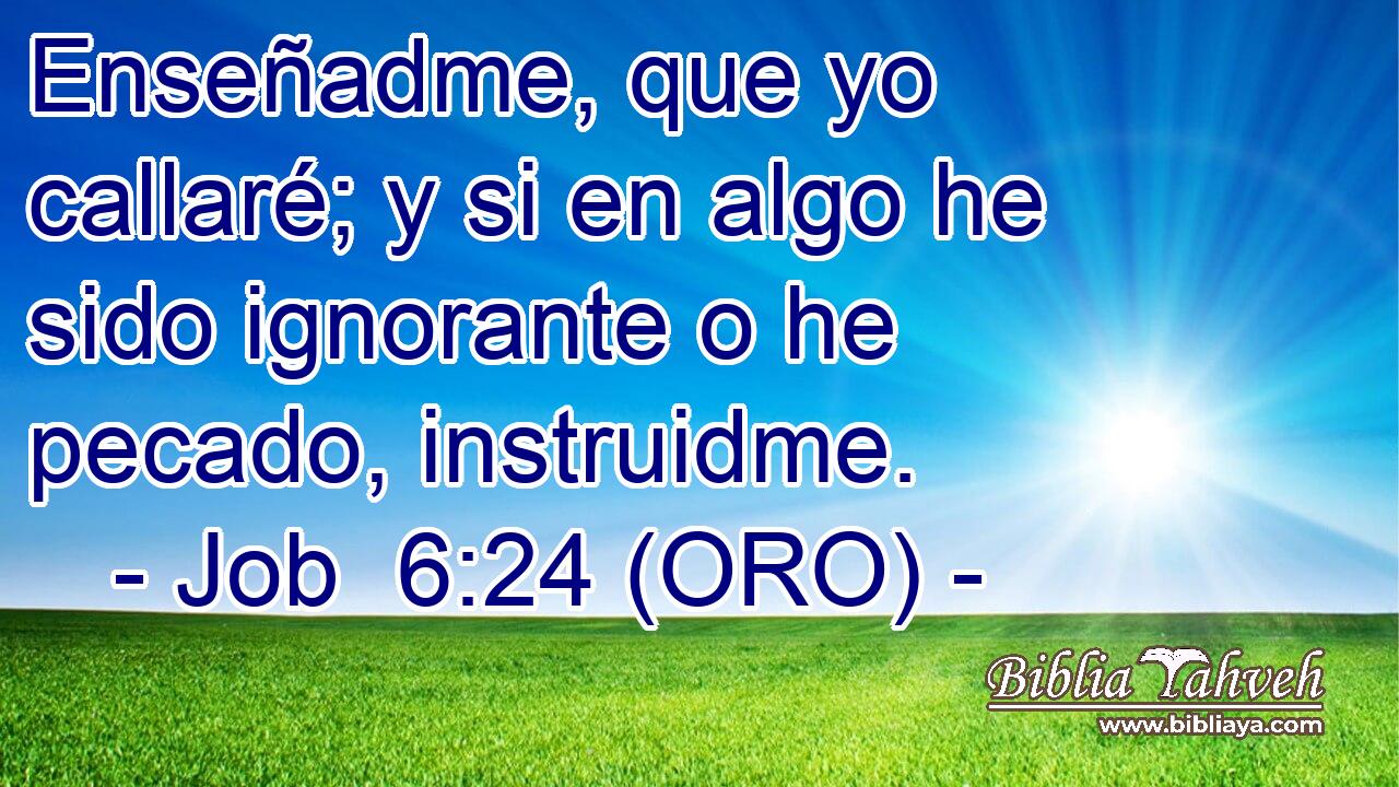  Enseñadme, que yo callaré; y si en algo he sido ignorante o he pecado, instruidme. 