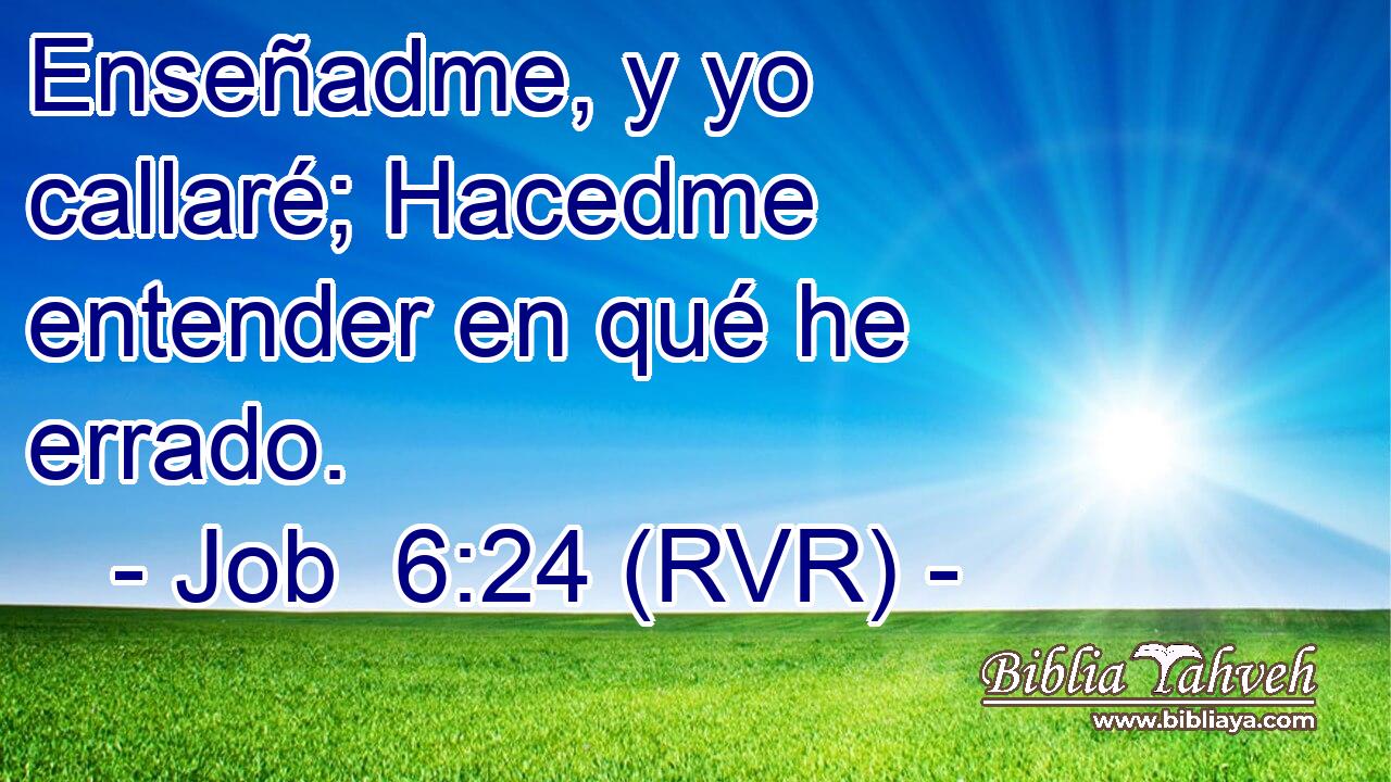 Enseñadme, y yo callaré; Hacedme entender en qué he errado.