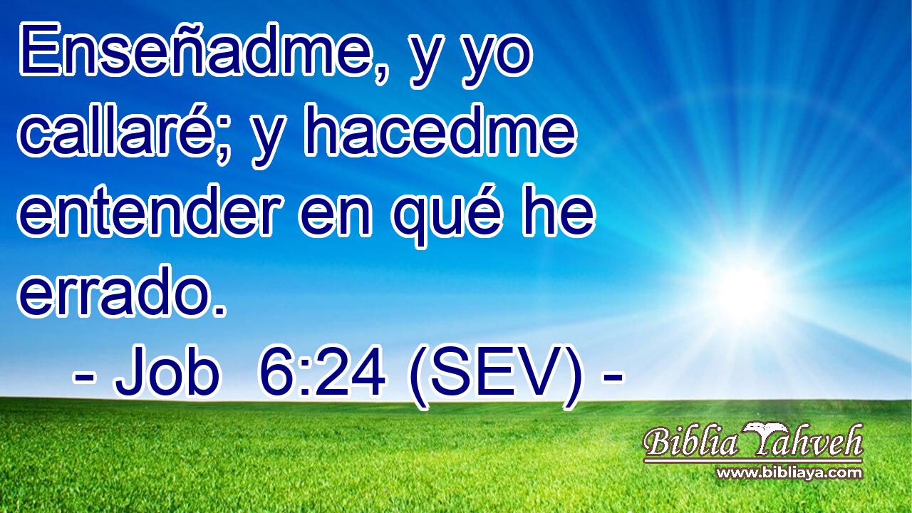Enseñadme, y yo callaré; y hacedme entender en qué he errado.