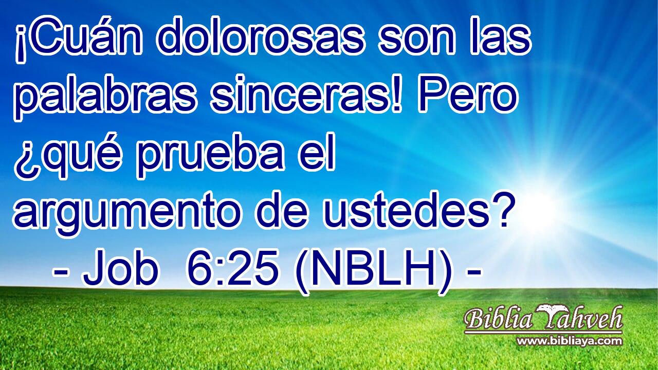  ¡Cuán dolorosas son las palabras sinceras! Pero ¿qué prueba el argumento de ustedes? 
