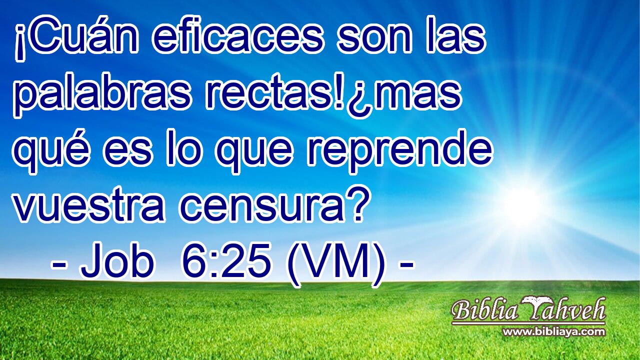  ¡Cuán eficaces son las palabras rectas!¿mas qué es lo que reprende vuestra censura? 