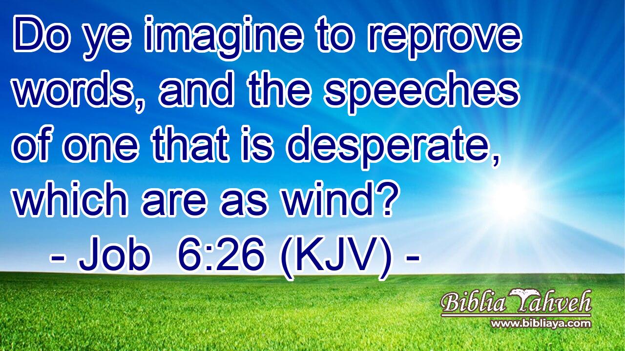 Do ye imagine to reprove words, and the speeches of one that is desperate, which are as wind?