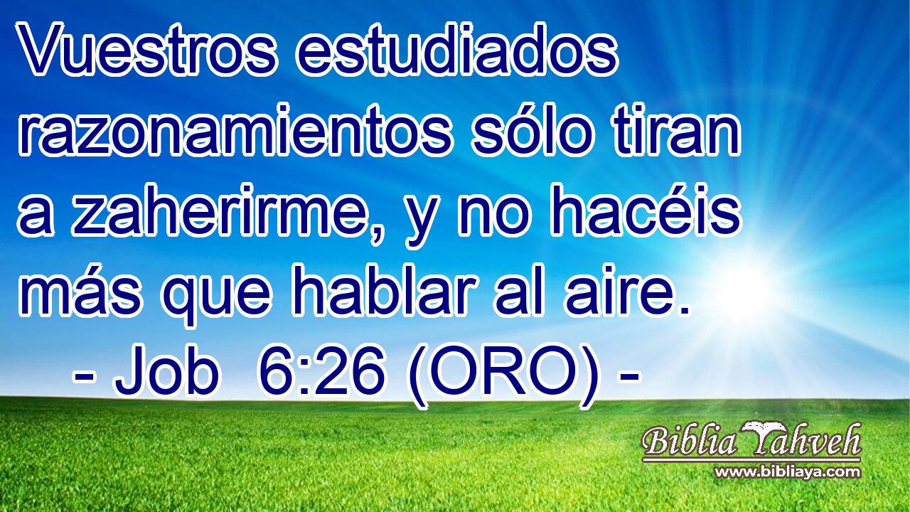  Vuestros estudiados razonamientos sólo tiran a zaherirme, y no hacéis más que hablar al aire. 