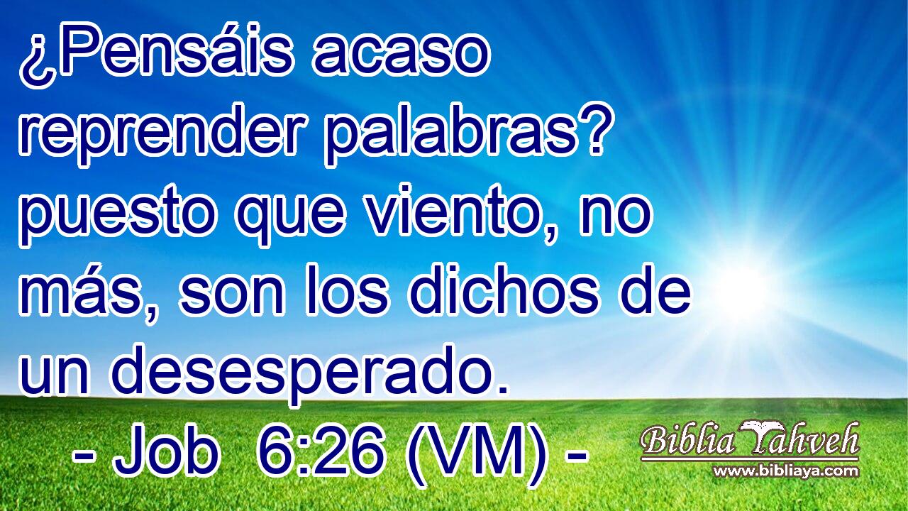  ¿Pensáis acaso reprender palabras? puesto que viento, no más, son los dichos de un desesperado. 
