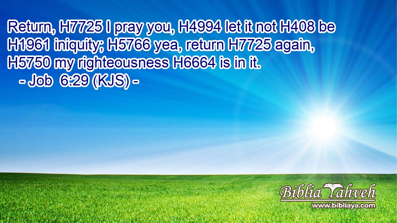 Return, H7725 I pray you, H4994 let it not H408 be H1961 iniquity; H5766 yea, return H7725 again, H5750 my righteousness H6664 is in it.