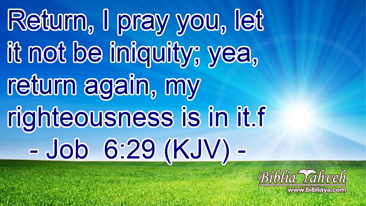 Return, I pray you, let it not be iniquity; yea, return again, my righteousness is in it.f