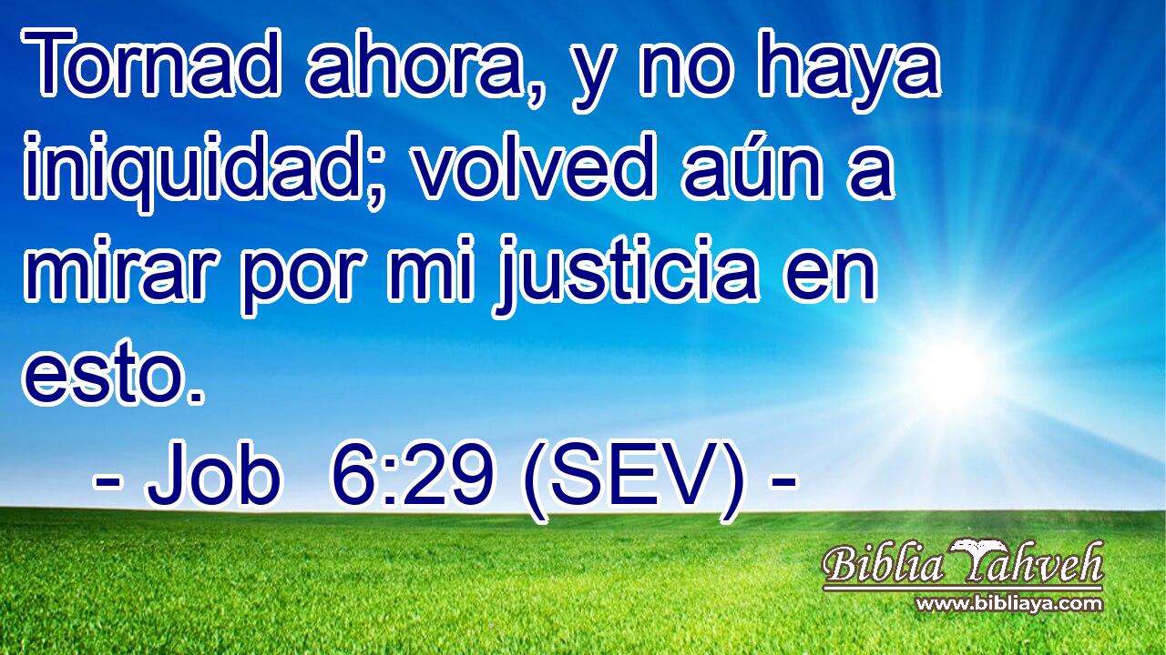 Tornad ahora, y no haya iniquidad; volved aún a mirar por mi justicia en esto.