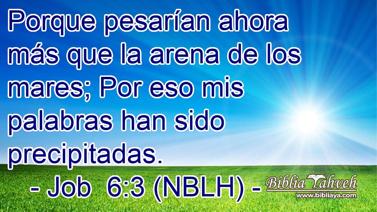  Porque pesarían ahora más que la arena de los mares; Por eso mis palabras han sido precipitadas. 